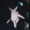 LuciferzSaint