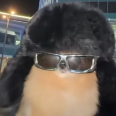 ChunkyBeaver34