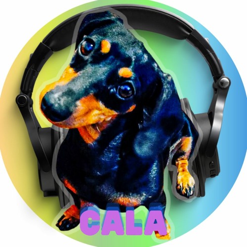 Cala.dj’s avatar
