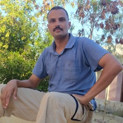 Mahamed Azab