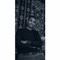 Omar Mohamed