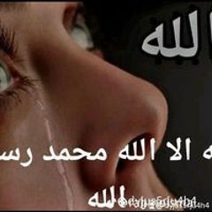 محمد الرملي الرملي