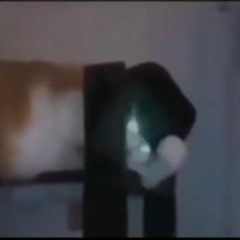 Músicas eletrônicas
