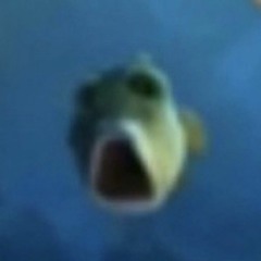 longygooby