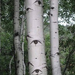 El olvido que seremos