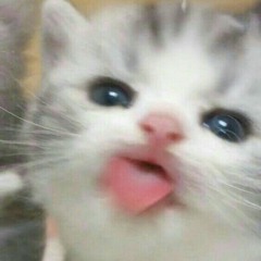 <3