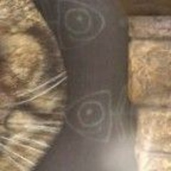 ابراهيم مصطفي