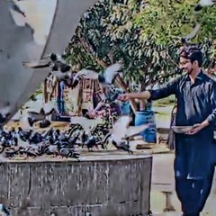 Masood Ahmed