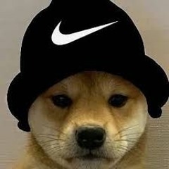 duxccy