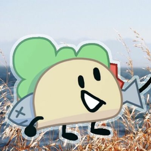 Taco’s avatar