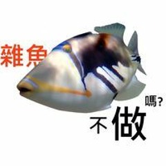 吳宏倫