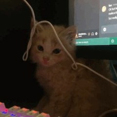 유야닝