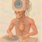 Komisch Anatomisch 🫀