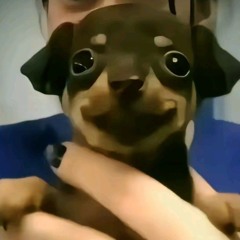 macsim