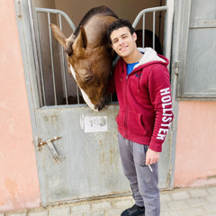 Bigad Hany