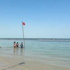 alfarhan