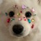 Diamond Mutt