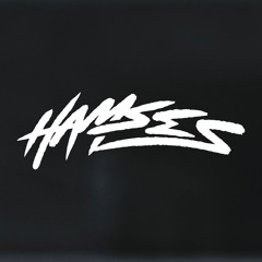 HAMSES