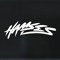 HAMSES