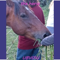 ubvoiu