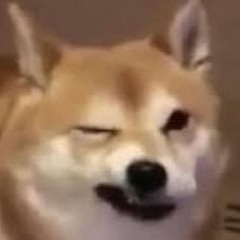 ü