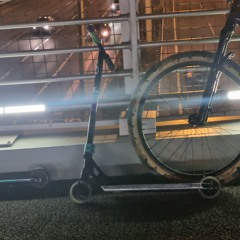 전손낙차11번준석