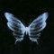 Arashk