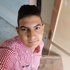 Ahmed kotb