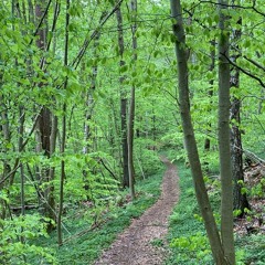 Mjöln3r