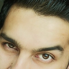 Talha Raja