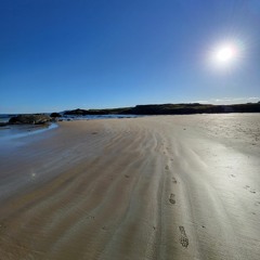 LeanneCShiels