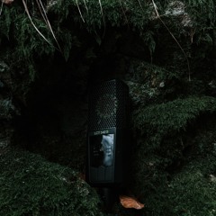 SilentField