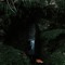 SilentField