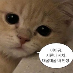도비