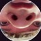 ellioid