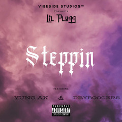 Lil Plugg