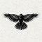 mohsen