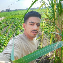 Ahmed Sabry