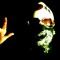 the skyrocca Official DJ of the N F L*