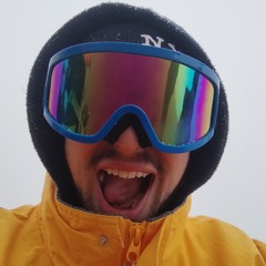 Vinholi's