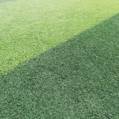 ر