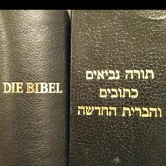 Matthiyah Shimron Dr. מתִיָה שִׁמְרוֹן דר