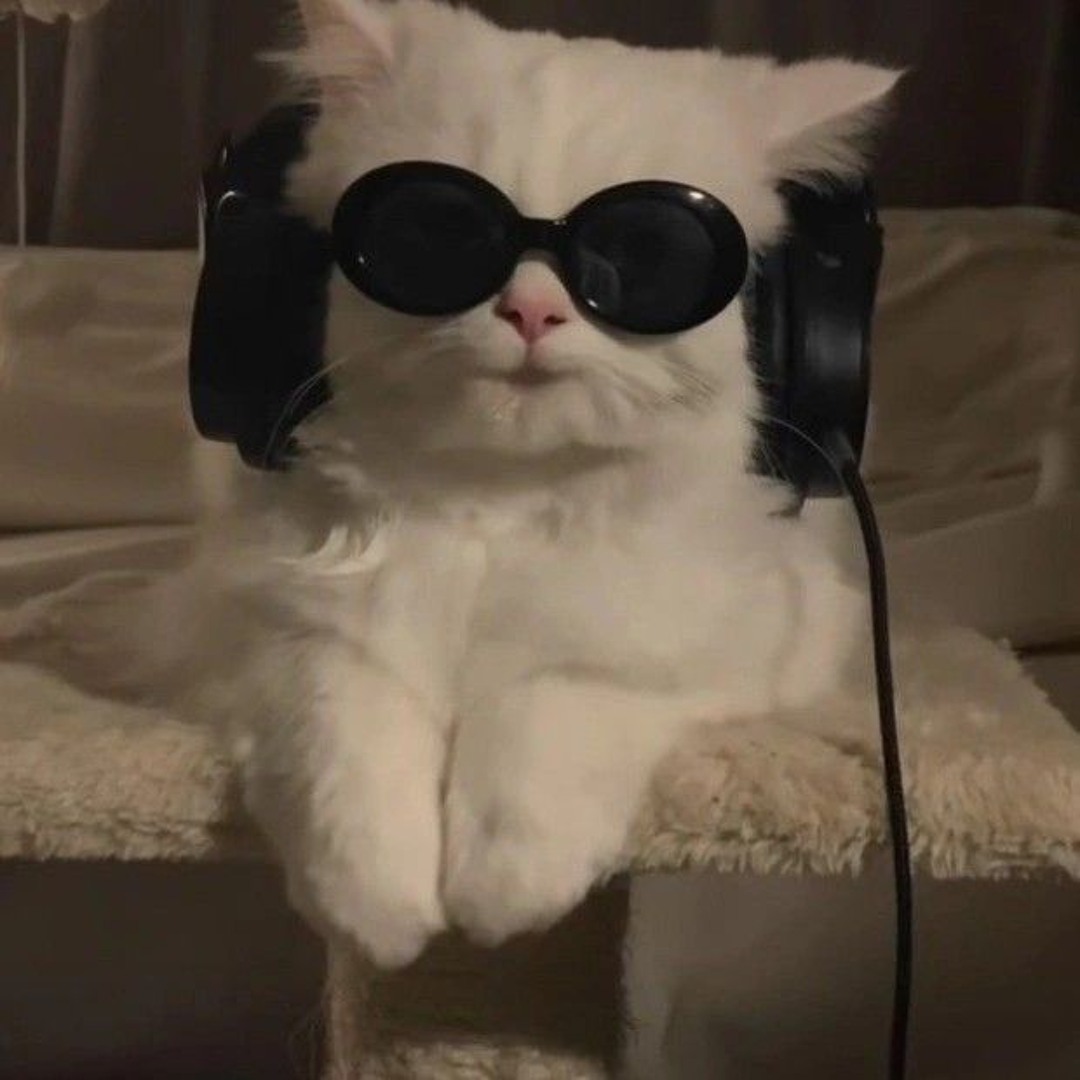 sinel’s avatar