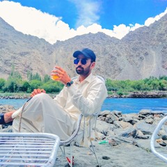 ملک محمد ارسلان ہموکہ