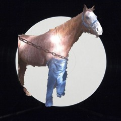 DJ horse jeans