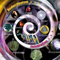 Holistic Hot