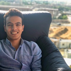 Muhammad Hamdy Ali