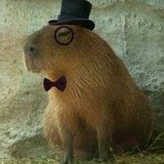 Stream Capivara Agiota  Listen to music tracks and songs online for free  on SoundCloud