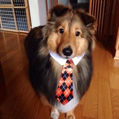ruff