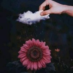 ام عبد الرحمن